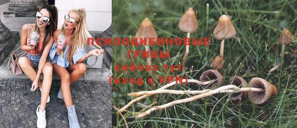 мяу мяу мука Богданович