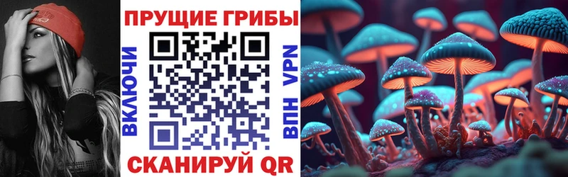 Галлюциногенные грибы GOLDEN TEACHER  Тосно 